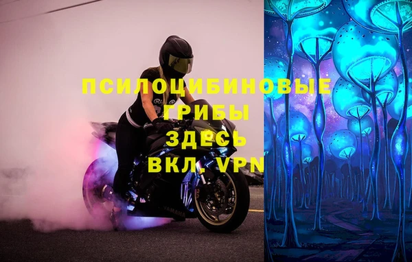 шишки Бронницы